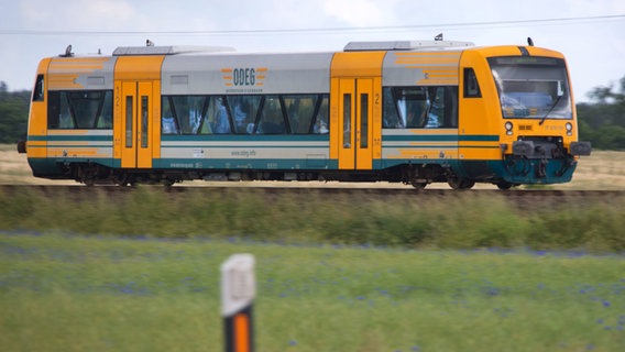 Ein Triebwagen der ODEG fährt zwischen Ludwigslust und Parchim. © dpa Foto: Jens Büttner