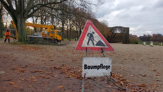 Ein Baustellenschild und ein darunter angebrachtes Schild mit der Aufschrift "Baumpflege" stehen im Schweriner Schlosspark, im Hintergrund sind Baumpfleger mit schwerem Gerät zugange und Äste stapeln sich bereits. © NDR Foto: Andreas Frost