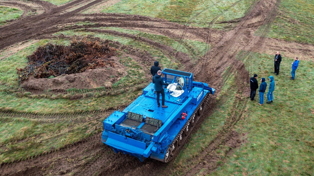 Pilotprojekt: Bergepanzer bereiten Eidechsen und Kröten den Boden