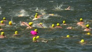 Menschen mit gelben Badekappen schwimmen im Greifswalder Bodden. © NDR 