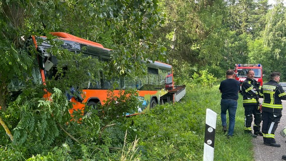 Ein Bus steht nach einem Unfall im Unterholz. © Susann Ebel Foto: Susann Ebel