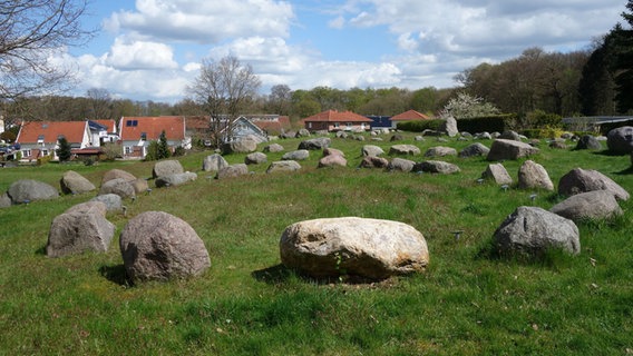 Im Findlingsgarten Raben Steinfeld sind Steine kreisförmig auf einer Wiese angeordnet. © LUNG M-V Foto: LUNG M-V