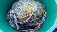 Fischernetze liegen in einem Kunststofffass auf einem Kutter im kleinen Fischerhafen in Tarnewitz. © picture alliance/dpa Foto: Jens Büttner