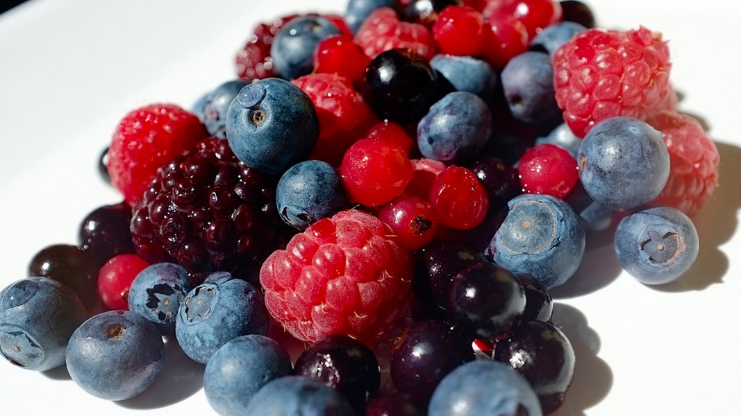 So gedeihen Beeren im Garten (Bild 15) NDR.de Ratgeber