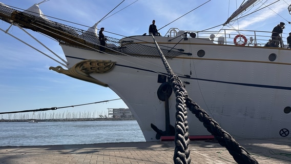 Die Gorch Fock II hat anlässlich der Hanse Sail 2024 an der Mittelmole in Warnemünde festgemacht. © NDR MV Foto: Denis Mollenhauer/ NDR MV