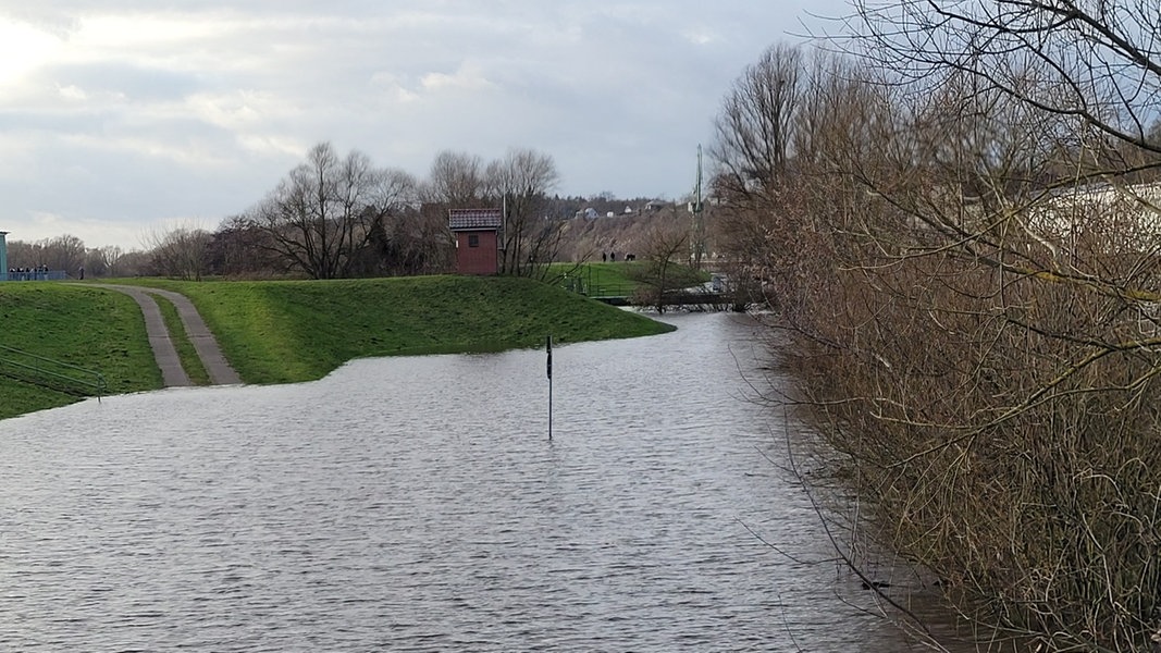 Die Elbe in Boizenburg bei Hochwasser: Der Fluss ist deutlich über die Ufer getreten und hat Felder überschwemmt.