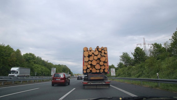 Ein Holztransporter fährt auf der Autobahn. © IMAGO / Cord Foto: IMAGO / Cord