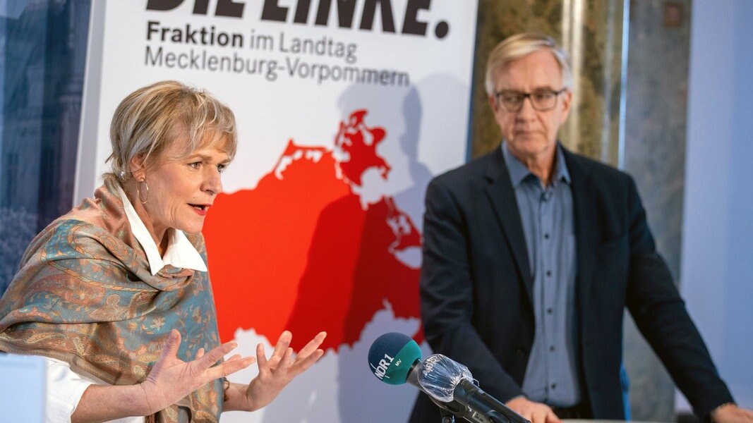 Left and FDP discuss their election programs |  NDR.de – news