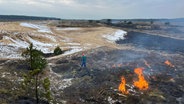 Feuer in der Lübtheener Heide, das gezielt und als Naturschutzmaßnahme gelegt wurde. © Bundesforstbetrieb Trave Foto: Henning Bremer/ Bundesforstbetrieb Trave