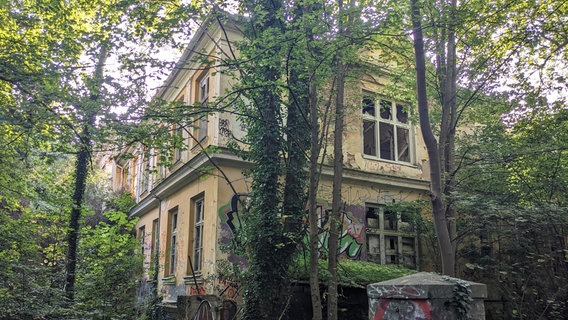 Dicht umwuchert ist die Ruine des einstigen Moorbads. Das Dach marode, die Fensterscheiben kaputt - nach fast 30 Jahren Leerstand bleibt wohl nur der Abriss. © Katja Bülow Foto: Katja Bülow