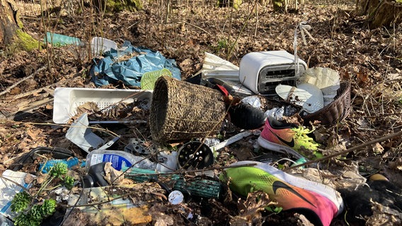 Ein Müllsack verteilt auf dem Waldboden © NDR Foto: Hannah Freitag