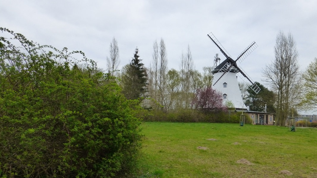 Rostock-Dierkow und Toitenwinkel: 20. Mühlenfest beginnt