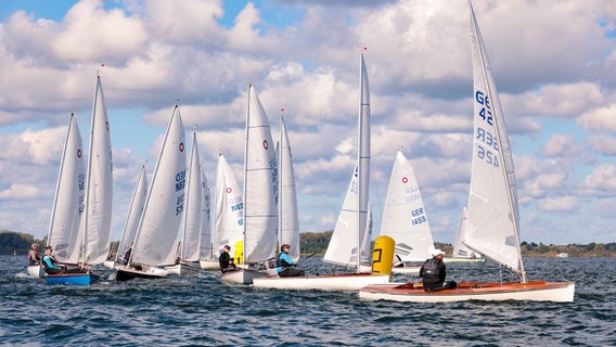 Jollensegler auf der Müritz © Röbeler Segler-Verein Müritz 