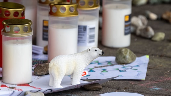 Zingst: Kerzen und eine Eisbären-Figur stehen an der Unglücksstelle. Ein 15 Jahre alter Jugendlicher ist in Zingst auf der gleichnamigen Halbinsel möglicherweise infolge von Drogenkonsum ums Leben gekommen. © Stefan Sauer/dpa Foto: Stefan Sauer/dpa