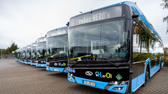 Die rebus, Regionalbus Rostock GmbH, stellt 12 Wasserstoffbusse für den Landkreis Rostock in den Dienst. © rebus/André König Foto: André König