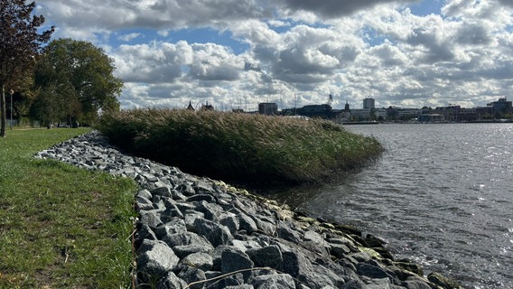 Das Ufer in Rostock-Gehlsdorf ist durch Umbaumaßnahmen abgesichert © Hansestadt Rostock Foto: Christine Zilse