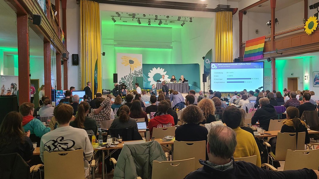 State Party Conference of the Greens in Mecklenburg-Western Pomerania: Continuity at the Top