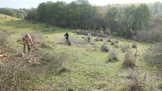 Pflegeeinsatz im Malliner Bachtal © BUND Neubrandenburg Foto: Gordon Käbelmann