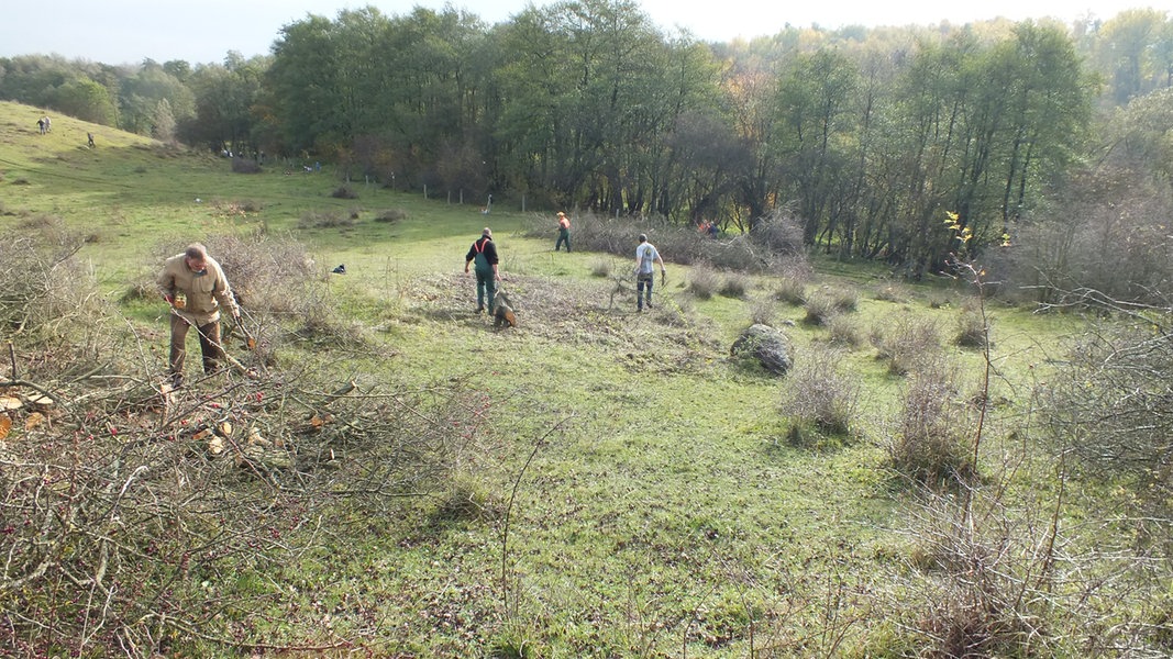 Arbeitseinsatz im Malliner Bachtal soll Biodiversität fördern