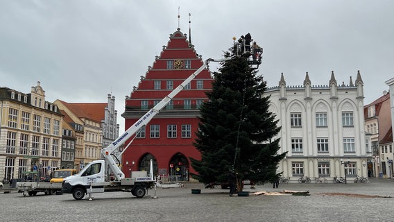 Arbeiter stellen einen Tannenbaum auf dem Greifswalder Marktplatz auf. © NDR Foto: Robert Schubert