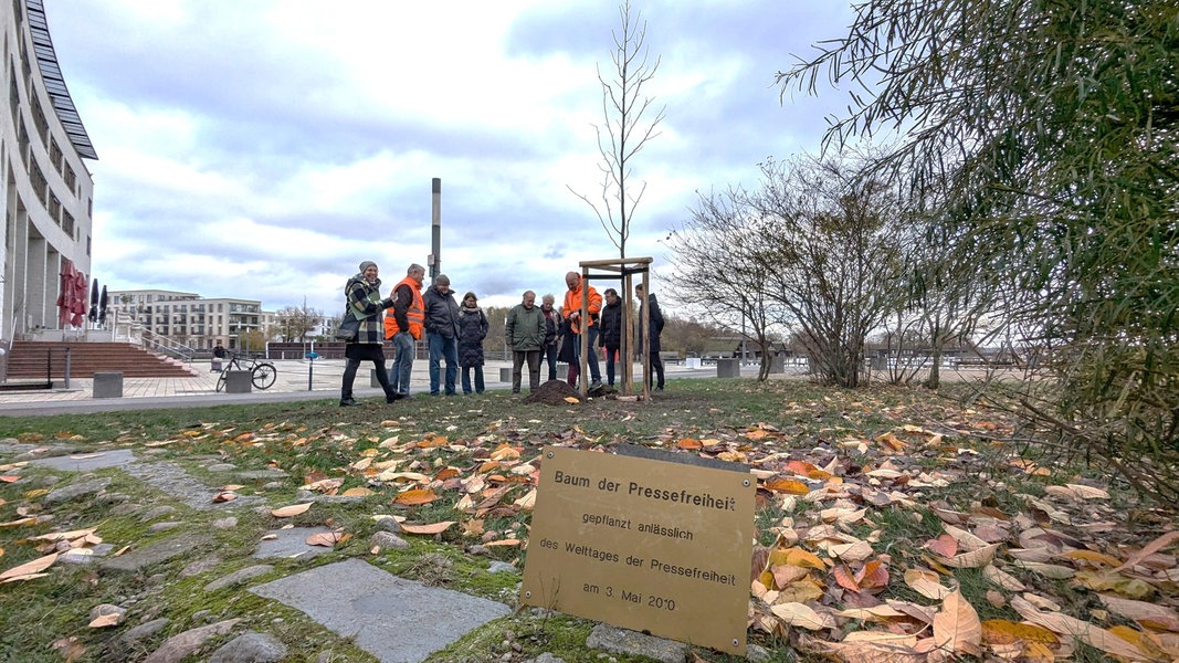 Baum der Pressefreiheit wächst wieder in Schwerin