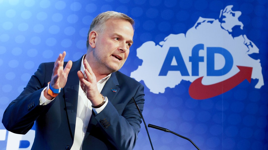 Landeschef Holm ist Spitzenkandidat der AfD bei der Bundestagswahl