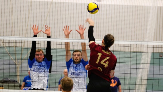 Volleyballer des PSV Neustrelitz im Spiel gegen Warnemünde © NDR MV 