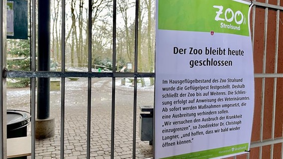 Am Eingang des Zoos hängt ein Hinweis, dass der Zoo wegen der Geflügelpest vorerst geschlossen bleibt. © NDR Foto: Paula Deusing