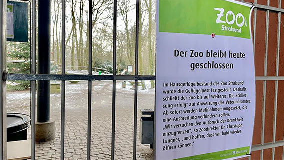 Am Eingang des Zoos hängt ein Hinweis, dass der Zoo wegen der Geflügelpest vorerst geschlossen bleibt. © NDR Foto: Paula Deusing