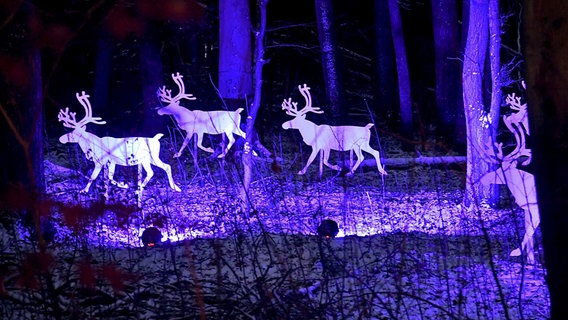 Lichtinstallation beim ZooLichtZauber im Rostocker Zoo 2025 © zoo rostock 