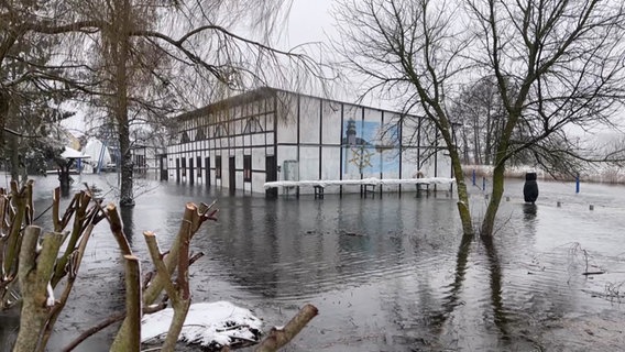 In Ueckermünde ist die Uecker über ihre Ufer getreten und hat Wisen udn Wege überschwemmt. © NDR MV Foto: Sven Peter Martens