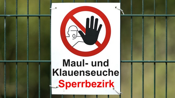 Ein weisses Warnschild mit der Aufschrift "Maul- und Klauenseuche Sperrbezirk" sowie einem Piktogramm mit einer Person mit ausgestreckter Hand in einem durchgestrichen roten Kreis an einem Doppelstabmattenzaun. © Torsten Sukrow 