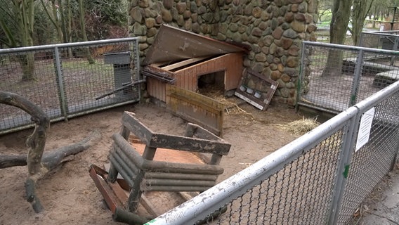 Ein leeres Tiergehege. Eine Hütte darin ist umgekippt, ein Stall beschädigt. © NDR Foto: Christoph Woest