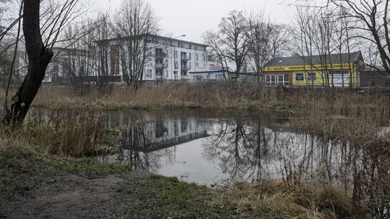 Ein Seitenarm der Warnow in Rostock, über den künftig eine Fußgänger- und Radfahrerbrücke verlaufen soll. © NDR Foto: Carolin Beyer