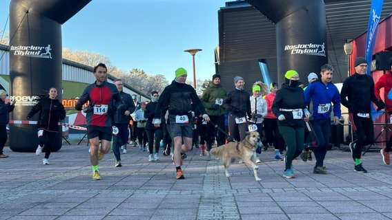 Mehrere Menschen laufen durch ein aufgebautes Tor. Darunter auch ein Hund an der Leine eines Läufers. © NDR Foto: Denis Mollenhauer