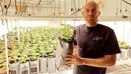 Vereinsgründer Marc Thalus mit den neuen Cannabis-Pflanzen. © NDR Foto: Christin Lachmann