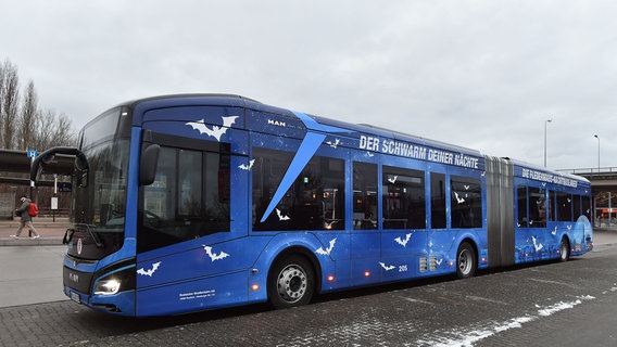 Ein RSAG-Bus der Fledermaus-Nachtlinie in Rostock. © RSAG Foto: Joachim Kloock