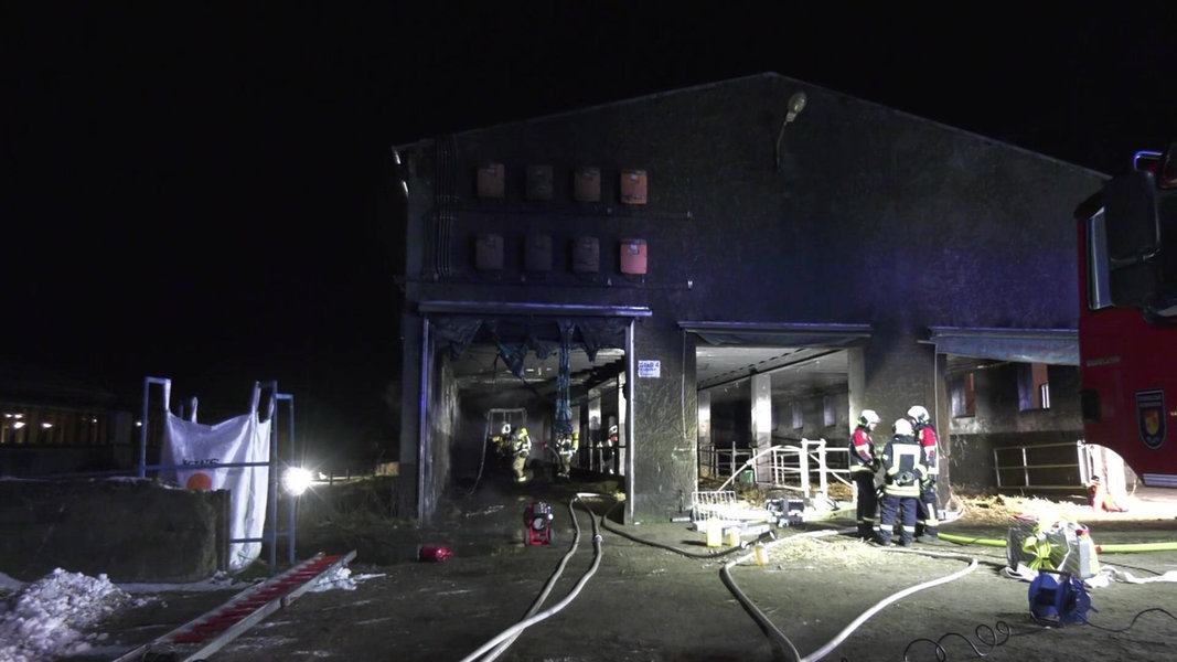 Brand in Kuhstall bei Plate