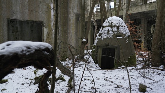 Ein kegelförmiger Ein-Mann-Bunker aus dem letzten Weltkrieg steht auf dem Gelände des ehemaligen Hydrierwerks. © Heiko Kreft/NDR Foto: Heiko Kreft/NDR