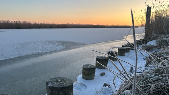 Der Greifswalder Ryck am Treidelpfad ist zugefroren. © NDR Foto: Melanie Last