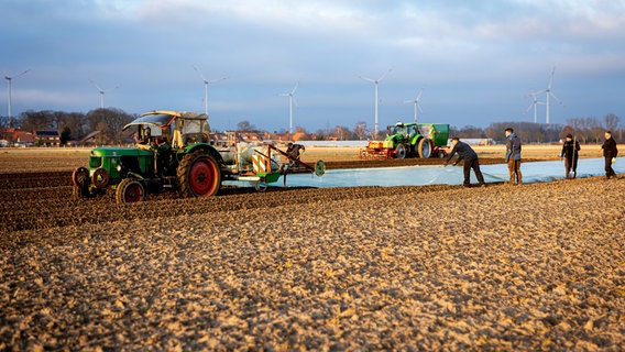 Landwirte bedecken ein Feld mit einer Folie, nachdem dort zuvor vorgekeimte Kartoffeln gesetzt wurden, um sie vor Witterungseinflüsse zu schützen. (Themenbild) © picture alliance/dpa Foto: Moritz Frankenberg