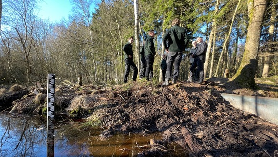 Mehrere Menschen stehen am Ufer eines neu angelegten Grabens. © NDR Foto: Maya Rollberg