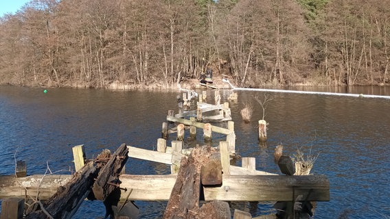 Abrissreife Brücke über den Pagelsee im Müritz-Nationalpark © Müritz-Nationalpark Foto: Wiebke Döbbert