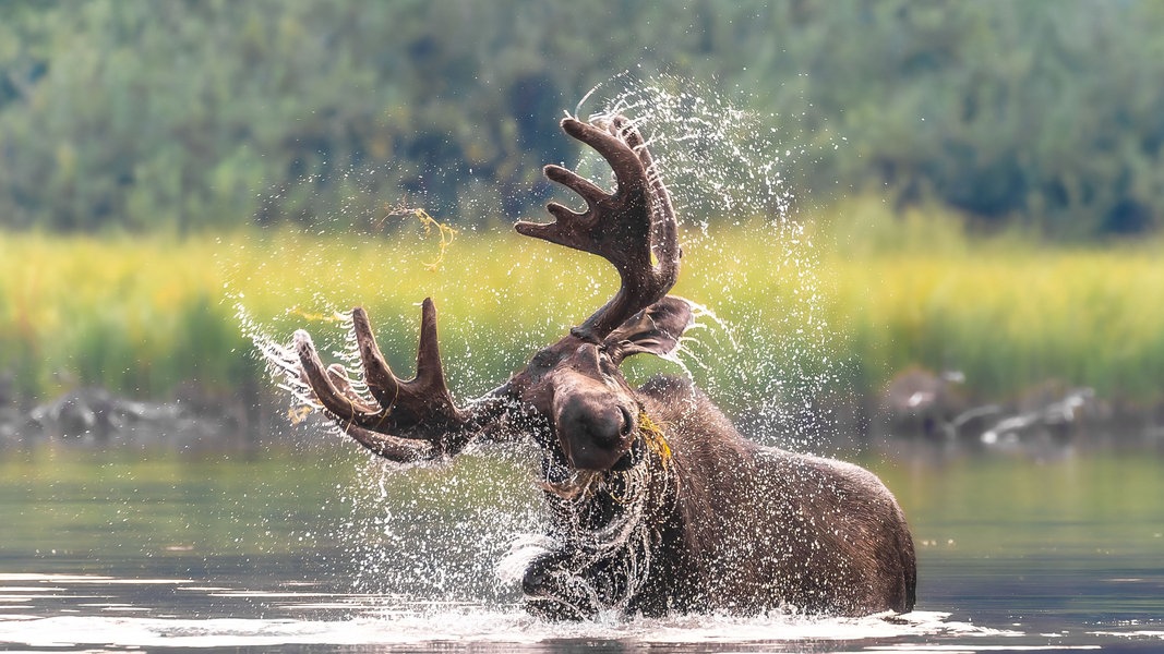 Zoo Rostock: Naturfotografien aus aller Welt zu sehen