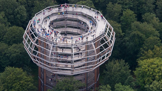 Der Holzturm des Baumwipfelpfads im Naturerbezentrum auf Rügen. © NDR Foto: Carsten Klehn