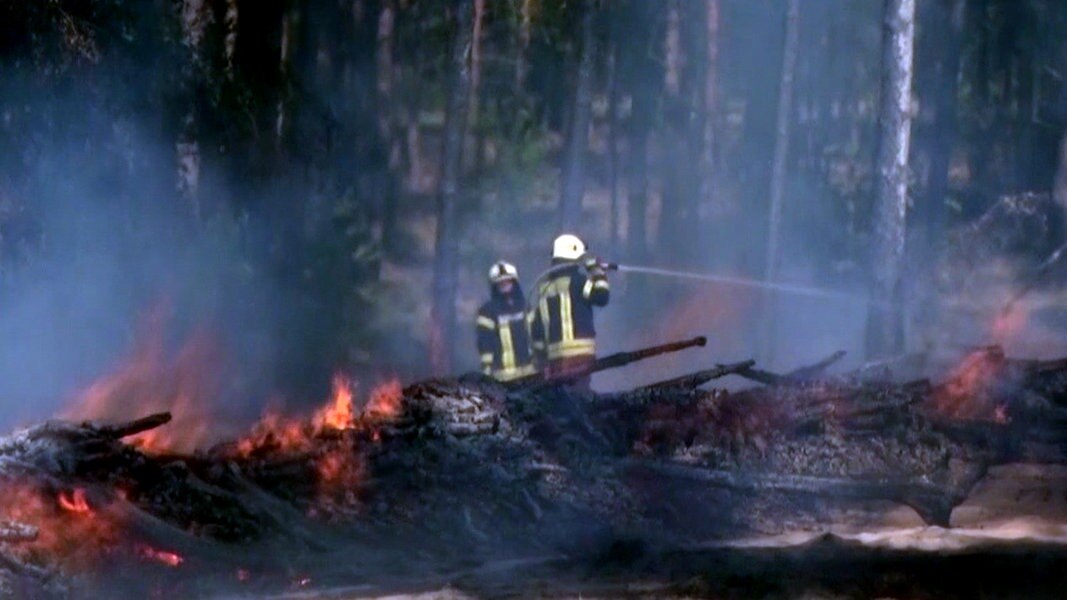 Nach Waldbrand: Aufräumarbeiten beginnen | NDR.de - Nachrichten