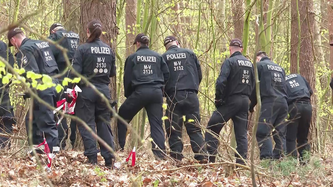 Polizisten durchkämmern einen Wald bei Werle auf der Suche nach einer Leiche.