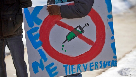 Protestschild gegen Impfversuche an Fohlen © dpa-Bildfunk Foto: Jens Büttner