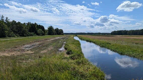 Der Fluss Rögnitz bei Vielank. © NDR Foto: Franz Fanter