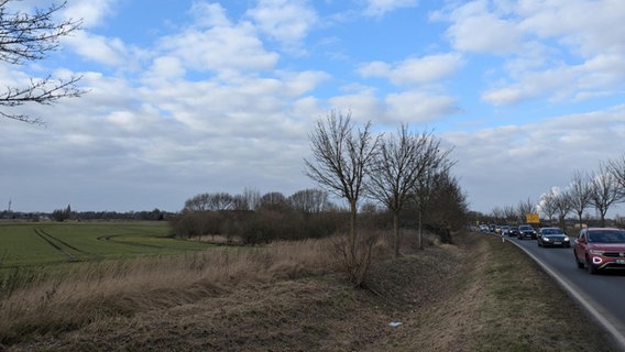 Auf diesen Ackerflächen am südlichen Rand von Rostock soll ein neues Wohngebiet entstehen. © NDR Foto: Carolin Beyer